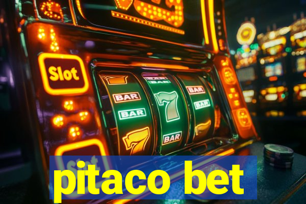 pitaco bet